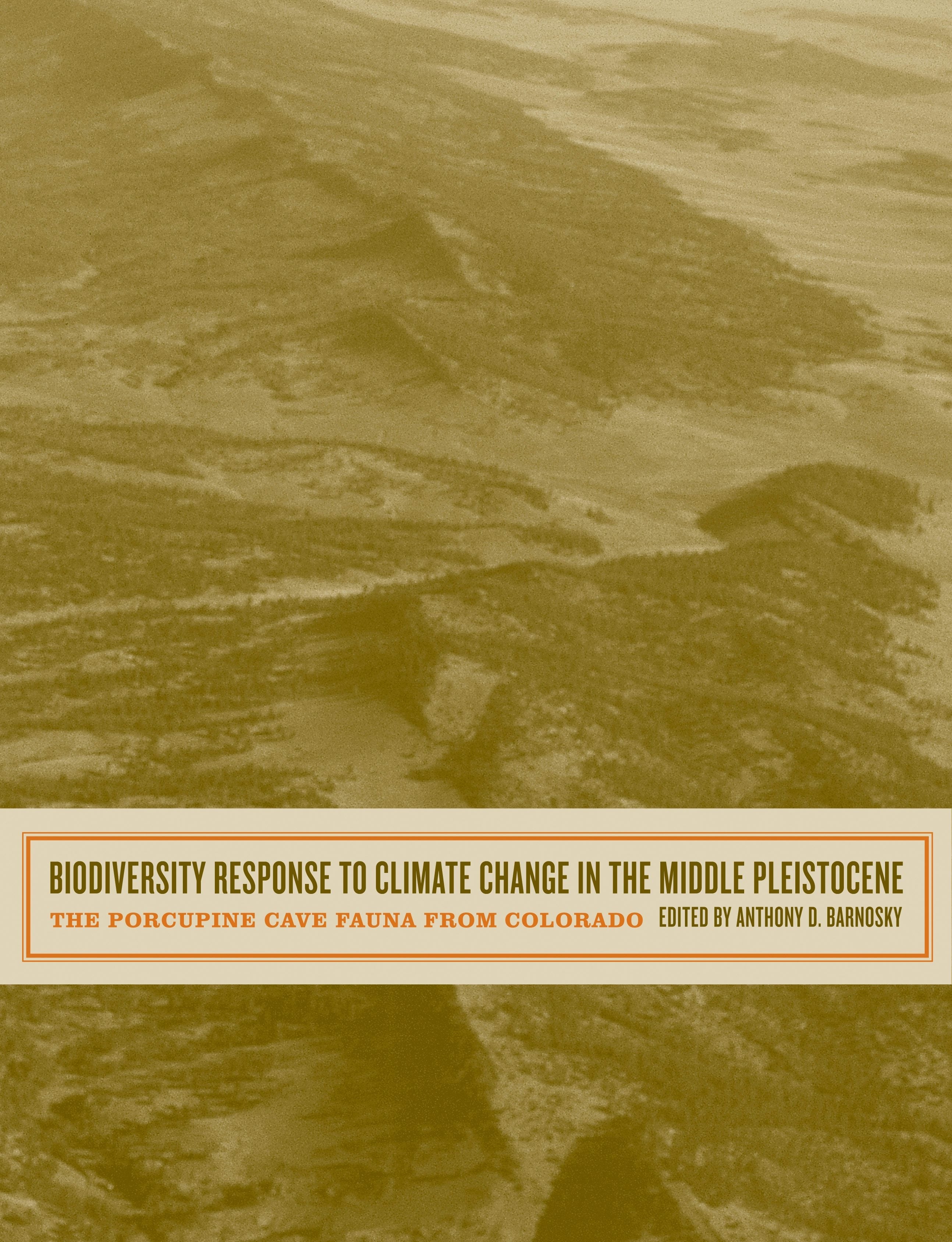 Book cover image for Biodiversity Response to Climate Change in the Middle Pleistocene ISBN: 9780520930858
